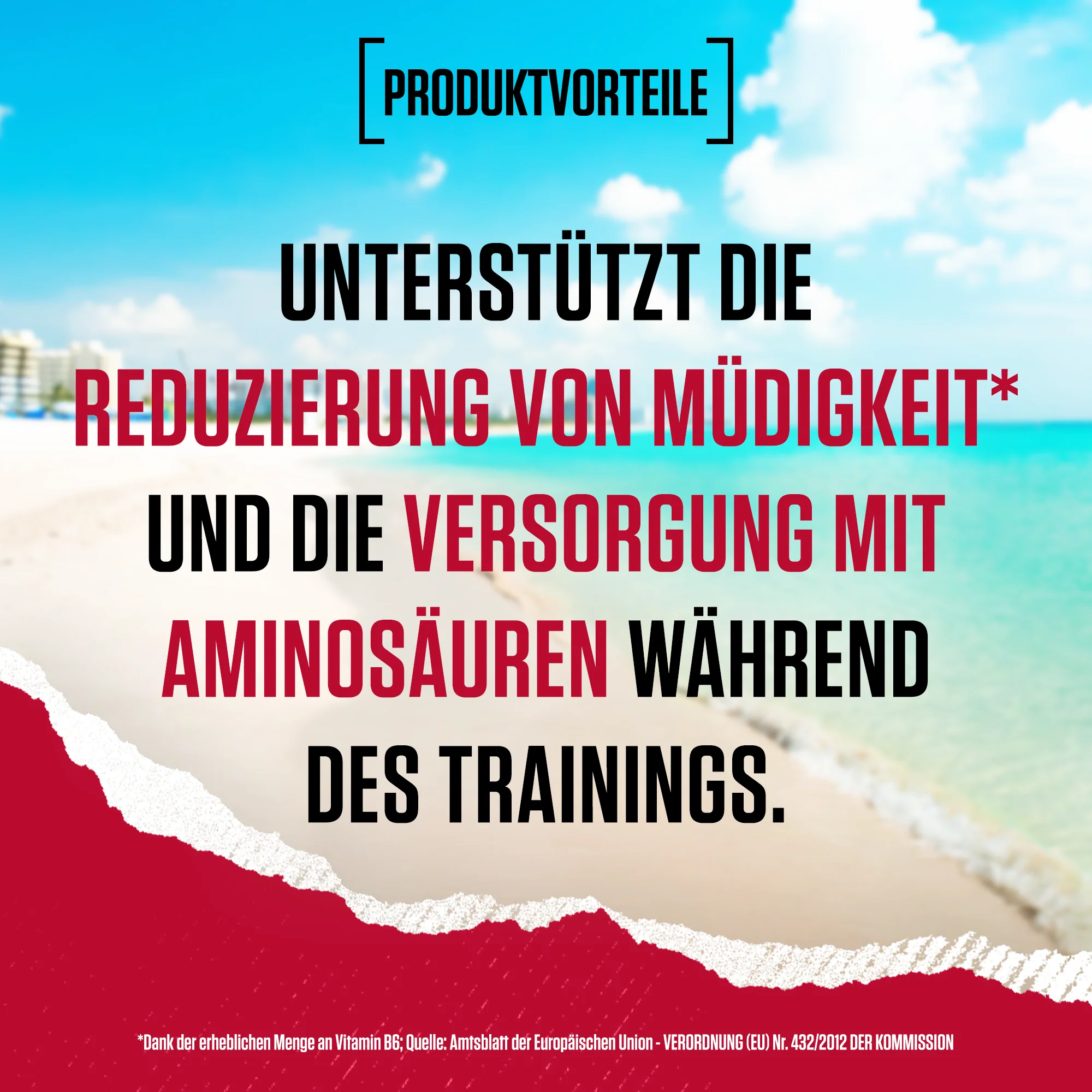 Amino X Aminosäuren BCAA (435g) - Image 9