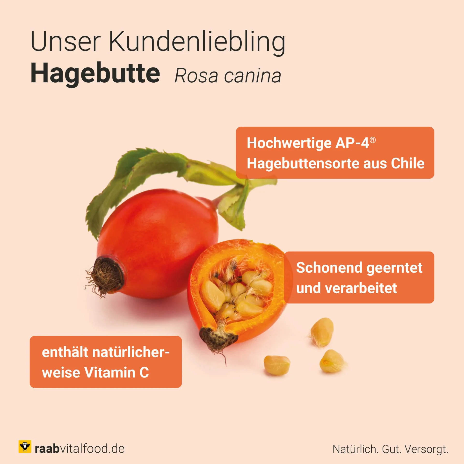 Bio Hagebutten-Pulver (250g) - Image 5