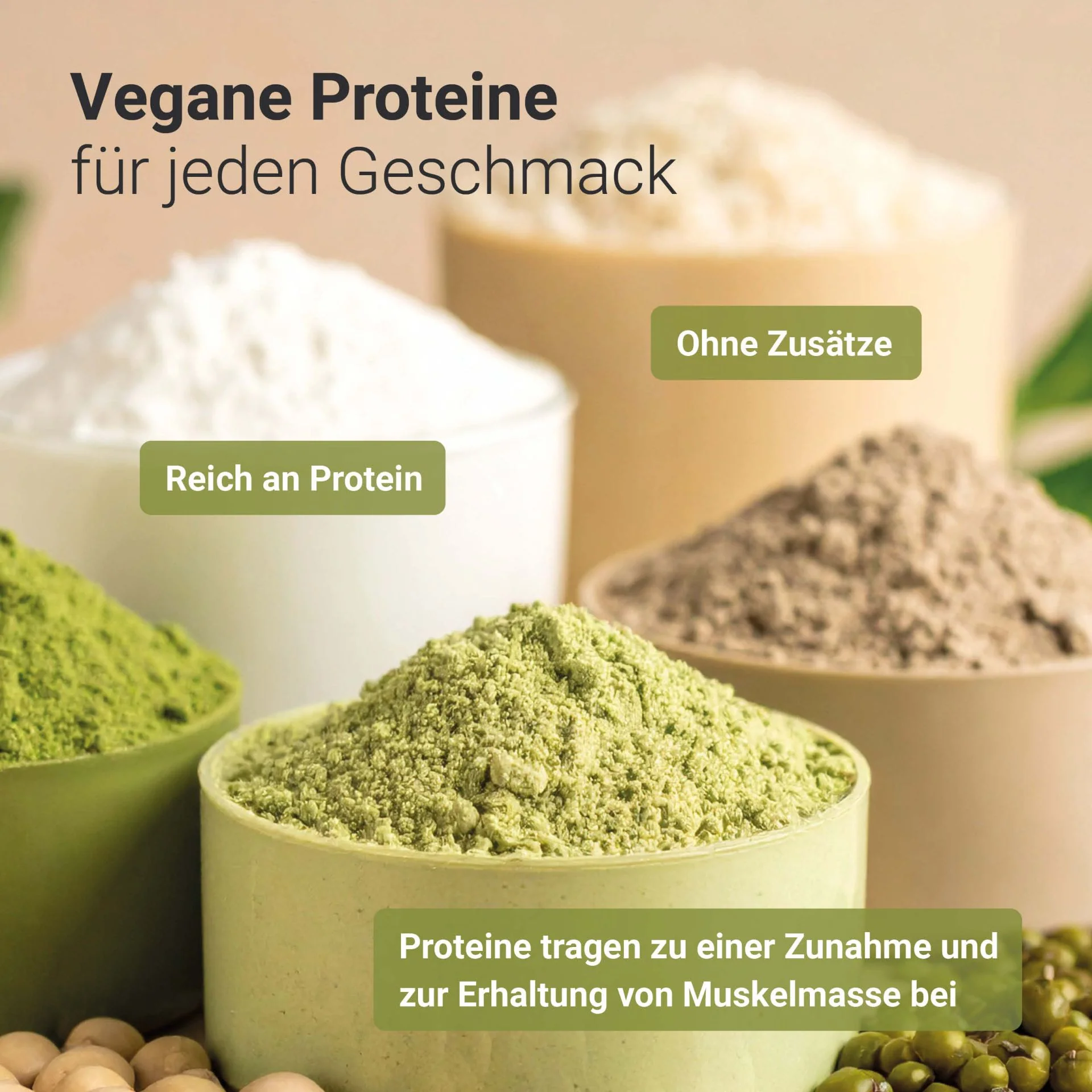 Bio Hanfprotein Pulver (500g) - Image 5