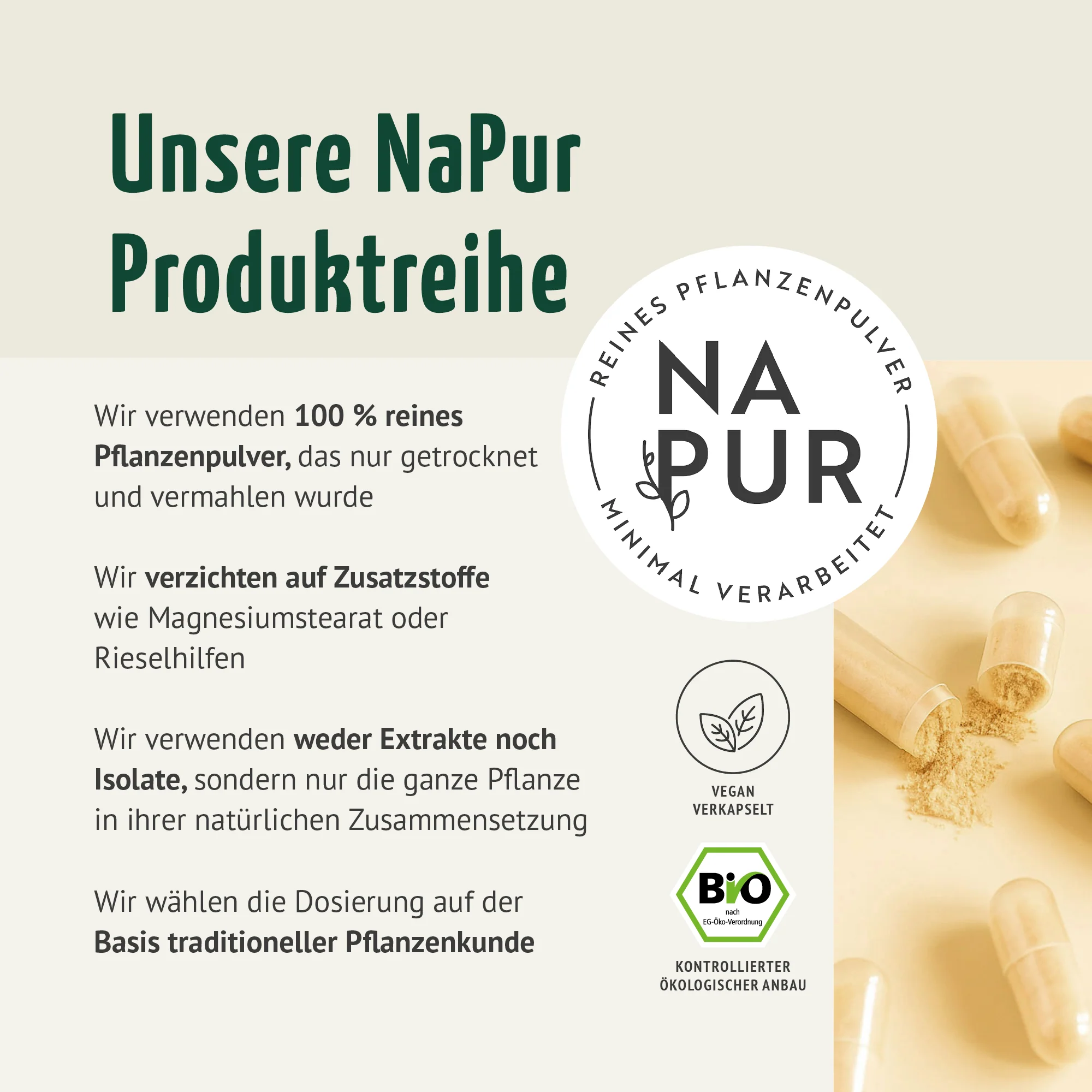 Bio Triphala Kapseln Nachfüllpack (400 Kapseln) - Image 2